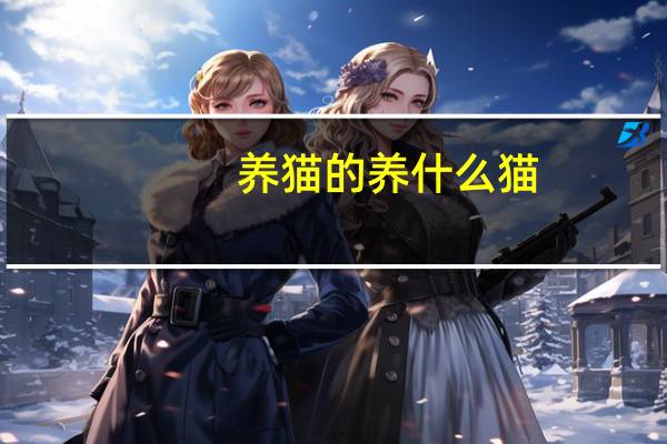 养猫的养什么猫