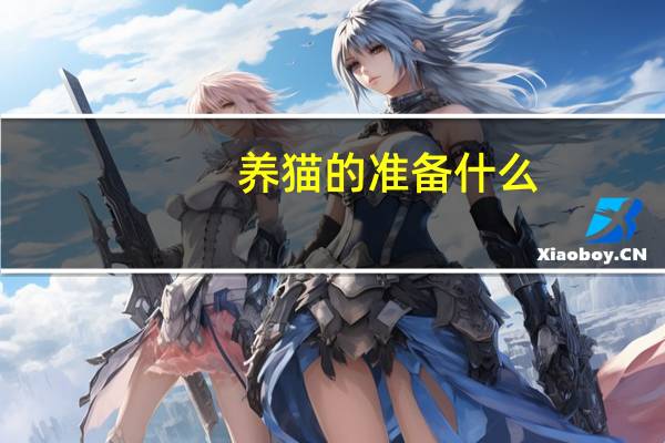 养猫的准备什么