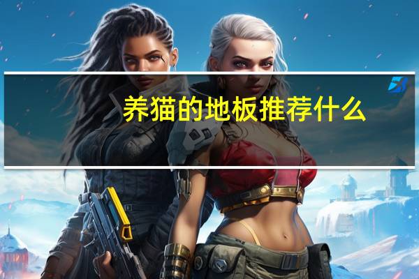 养猫的地板推荐什么