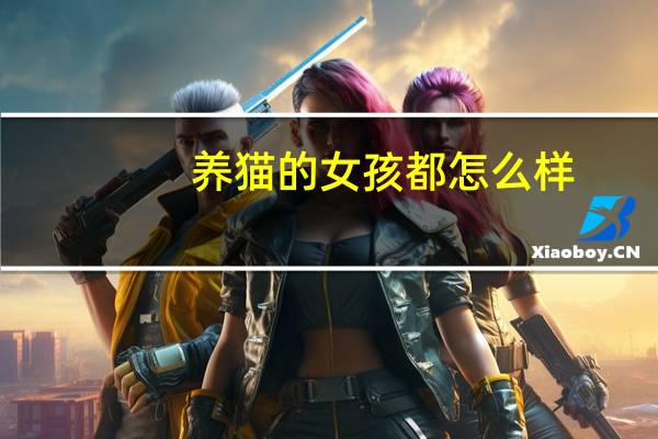 养猫的女孩都怎么样