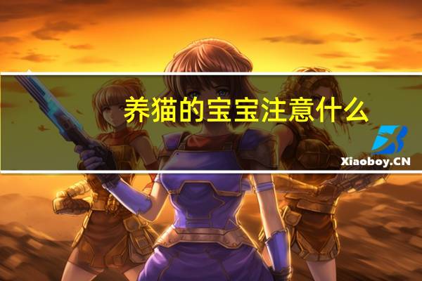 养猫的宝宝注意什么