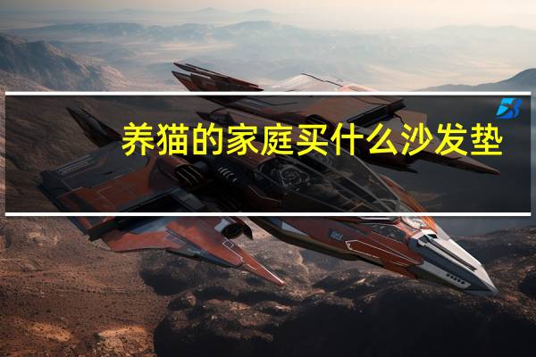 养猫的家庭买什么沙发垫