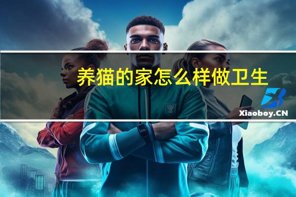 养猫的家怎么样做卫生