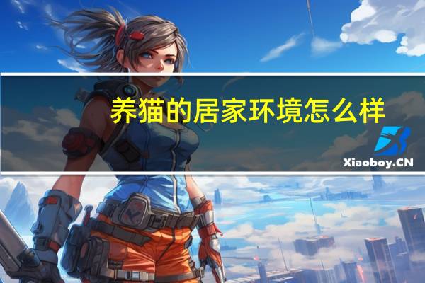 养猫的居家环境怎么样