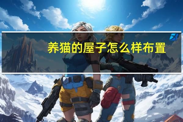 养猫的屋子怎么样布置