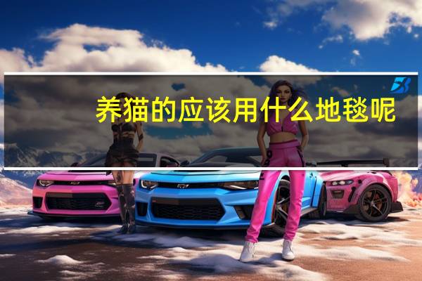 养猫的应该用什么地毯呢