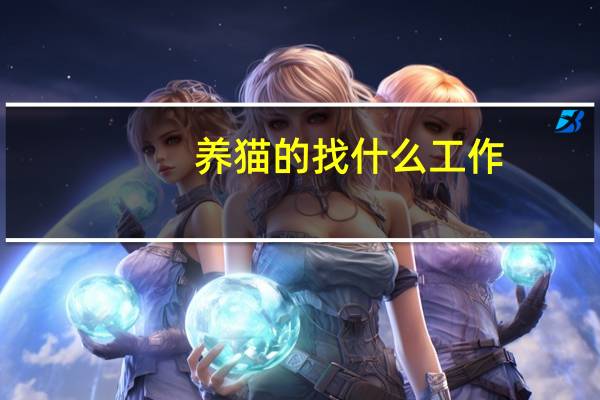 养猫的找什么工作