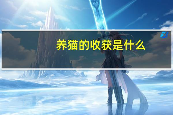 养猫的收获是什么