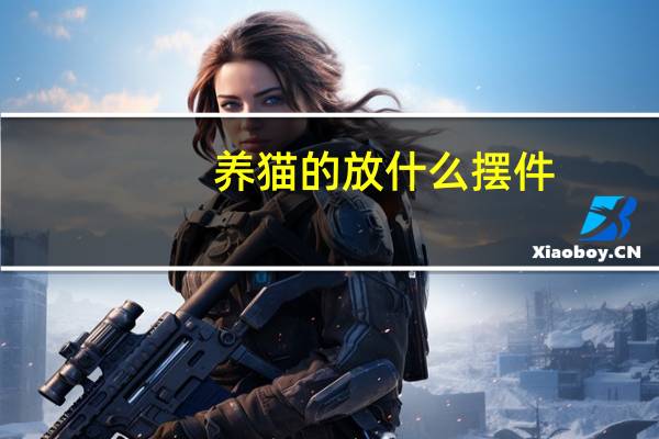 养猫的放什么摆件