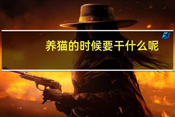 养猫的时候要干什么呢