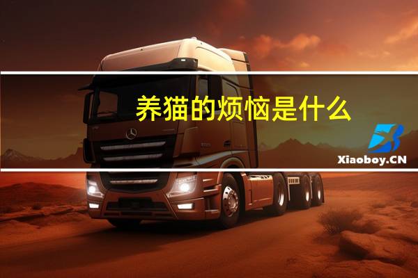 养猫的烦恼是什么