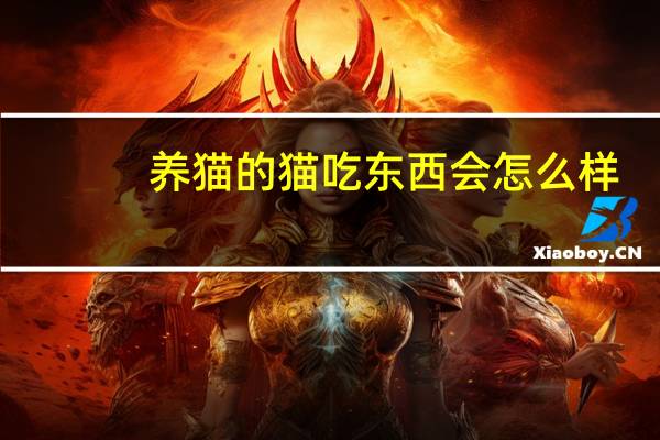 养猫的猫吃东西会怎么样
