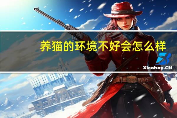 养猫的环境不好会怎么样