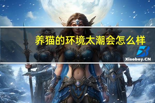 养猫的环境太潮会怎么样