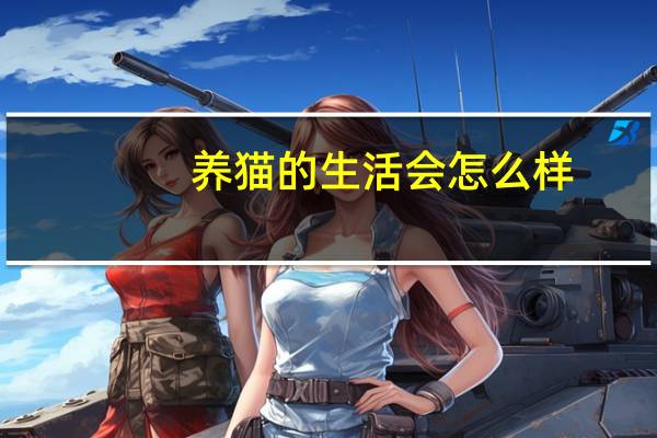 养猫的生活会怎么样
