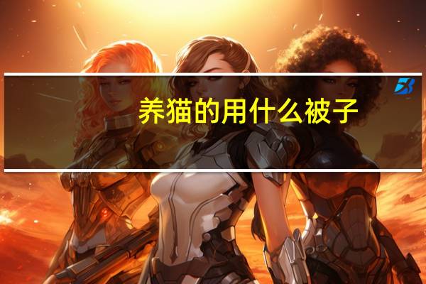养猫的用什么被子