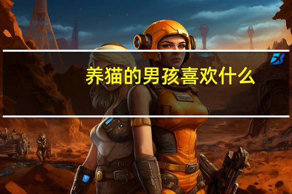 养猫的男孩喜欢什么
