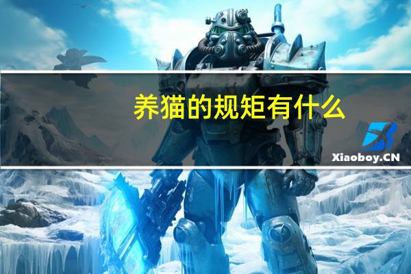 养猫的规矩有什么