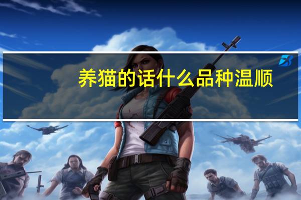 养猫的话什么品种温顺