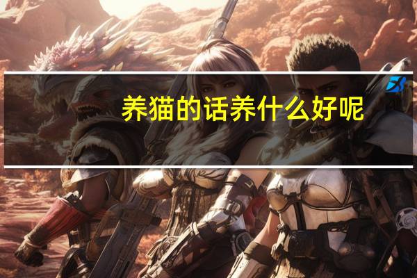 养猫的话养什么好呢