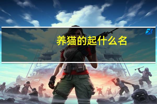 养猫的起什么名
