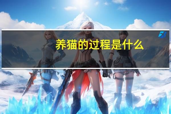 养猫的过程是什么