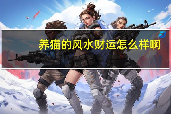 养猫的风水财运怎么样啊