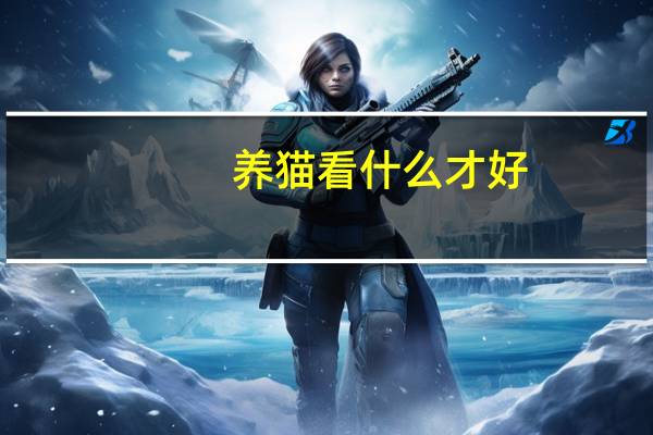 养猫看什么才好