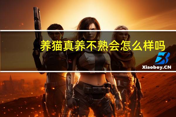 养猫真养不熟会怎么样吗