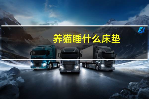 养猫睡什么床垫