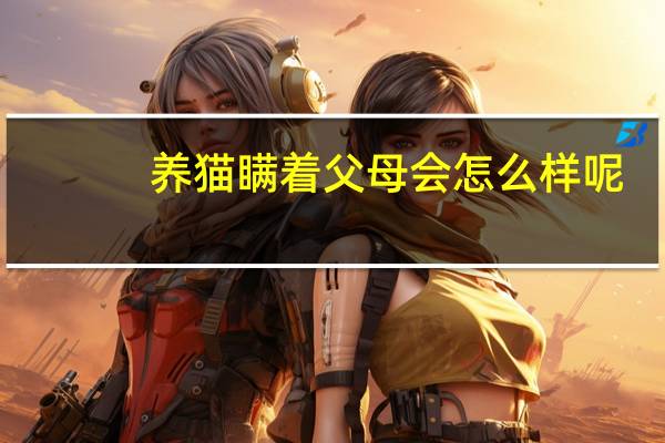 养猫瞒着父母会怎么样呢