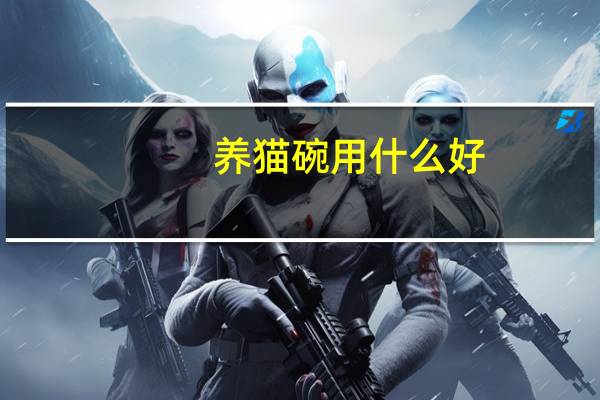 养猫碗用什么好