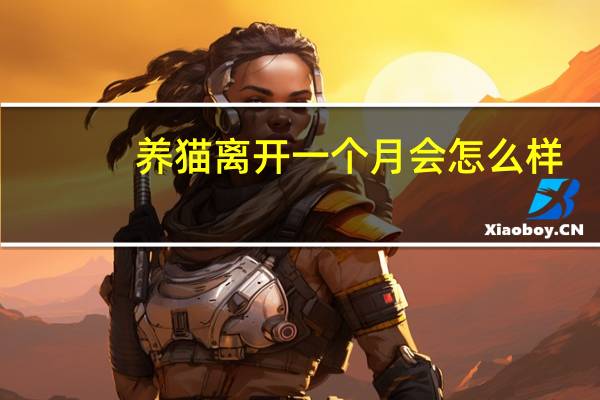 养猫离开一个月会怎么样