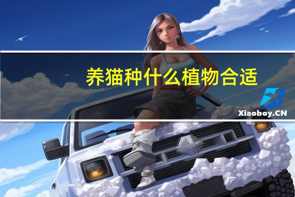 养猫种什么植物合适