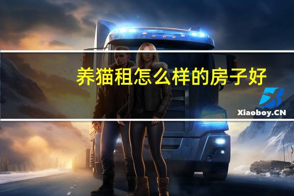 养猫租怎么样的房子好