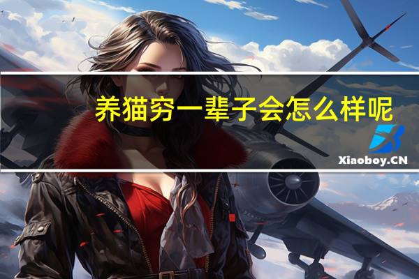 养猫穷一辈子会怎么样呢