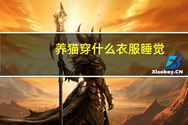 养猫穿什么衣服睡觉