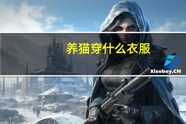 养猫穿什么衣服