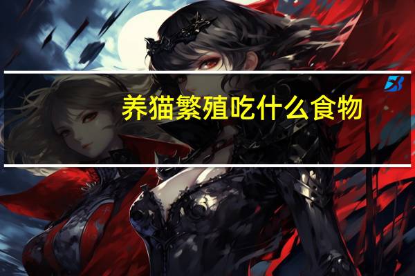 养猫繁殖吃什么食物