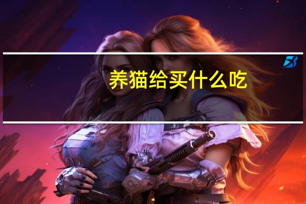 养猫给买什么吃