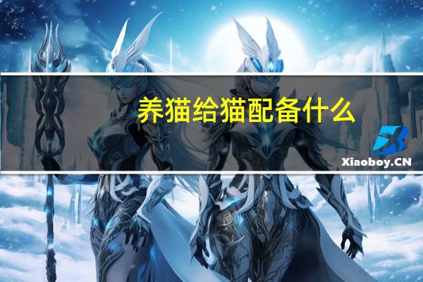 养猫给猫配备什么