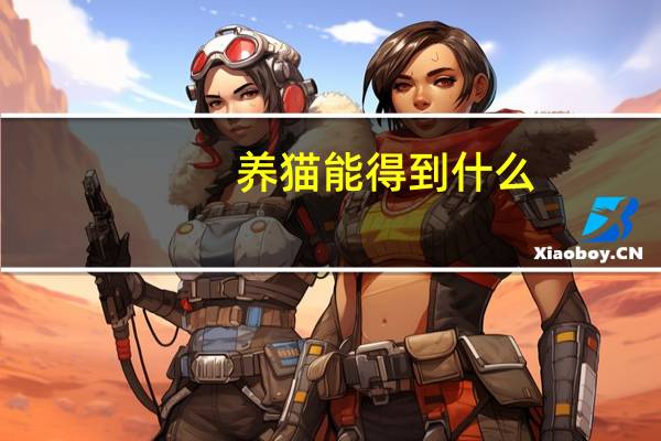 养猫能得到什么