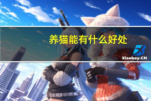 养猫能有什么好处