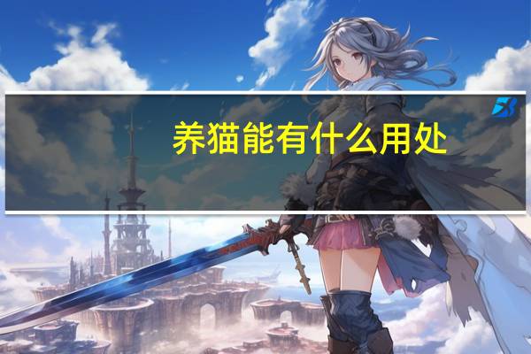养猫能有什么用处