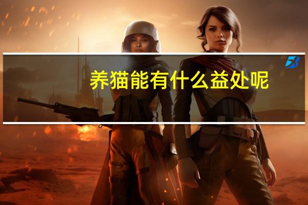 养猫能有什么益处呢