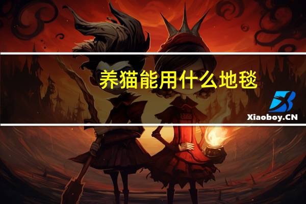 养猫能用什么地毯