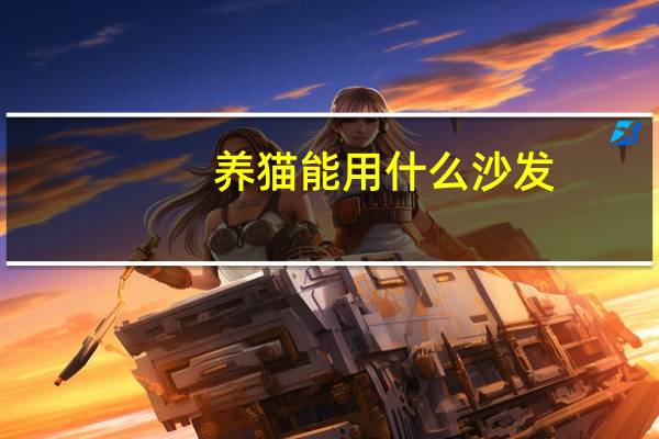 养猫能用什么沙发