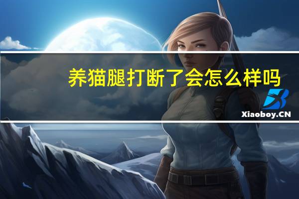 养猫腿打断了会怎么样吗
