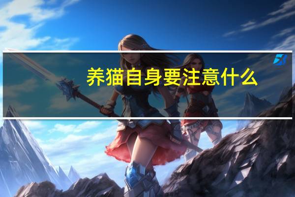 养猫自身要注意什么