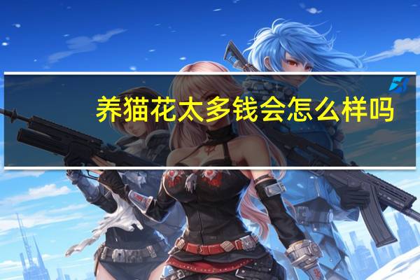 养猫花太多钱会怎么样吗